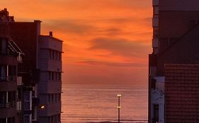 Kunstenaarslaan De Panne